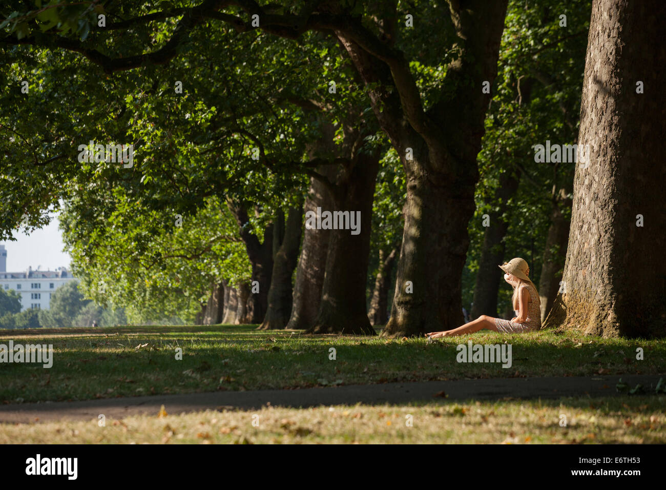 A young woman relaxing in Hyde Park next to a row of London Plane trees Stock Photo