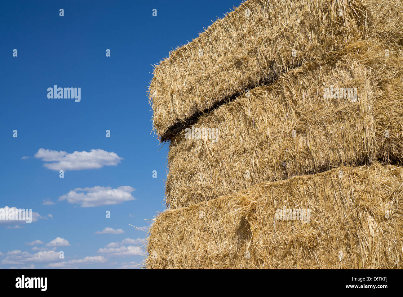Bale of straw Stock Photo Alamy