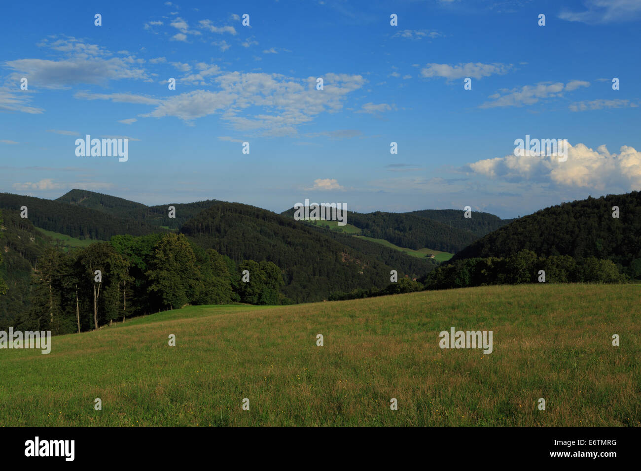 A serene blue and green landscape taken in Basel-Landschaft, Switzerland. Stock Photo