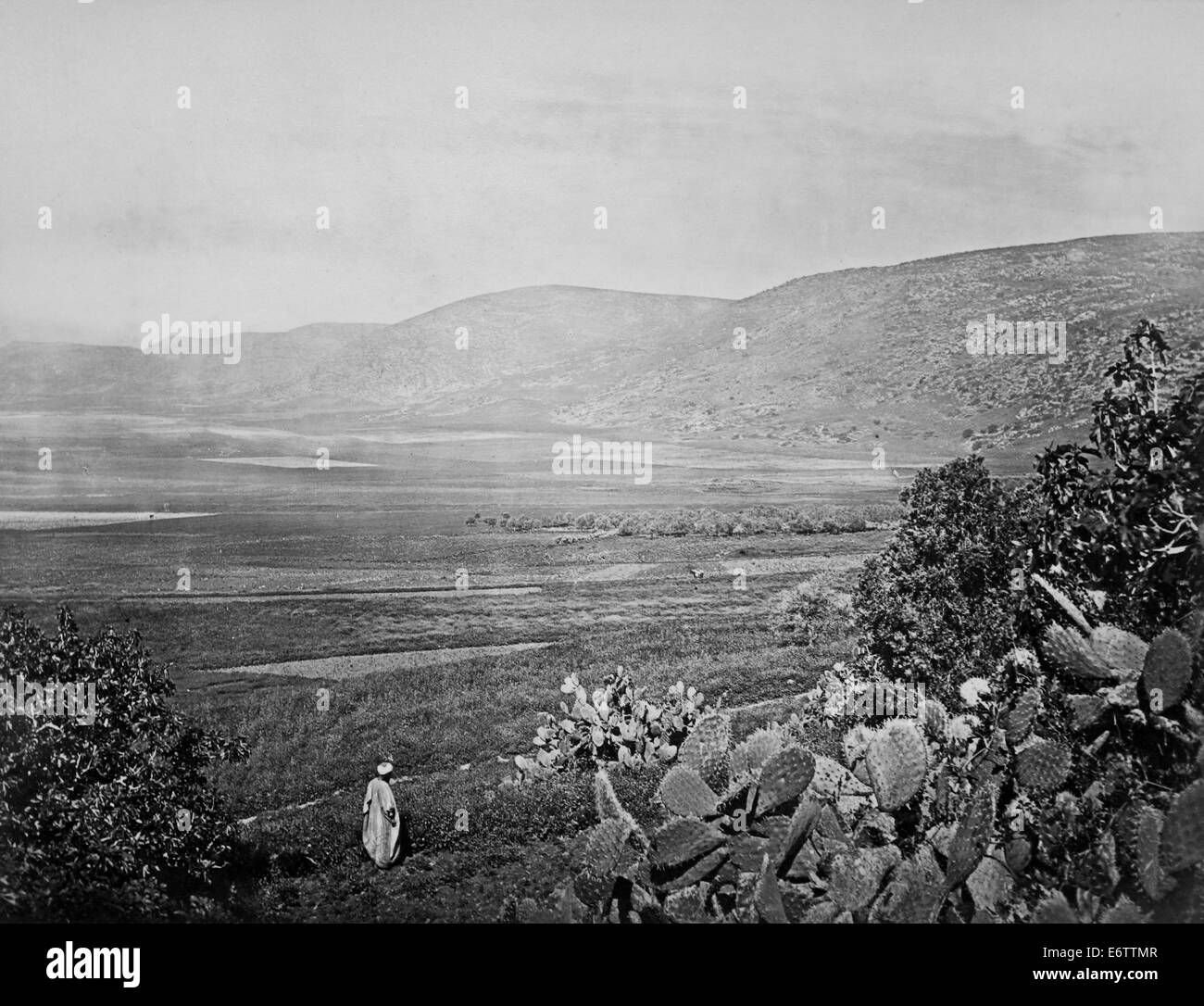 the mountains of Gilboa plain of Meciddo Stock Photo Alamy