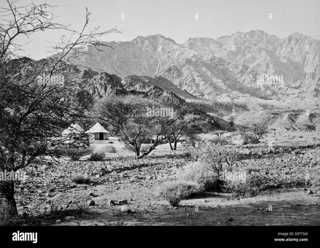 Encampment Under Shittim Trees, Wady El Ithm 1861 Stock Photo