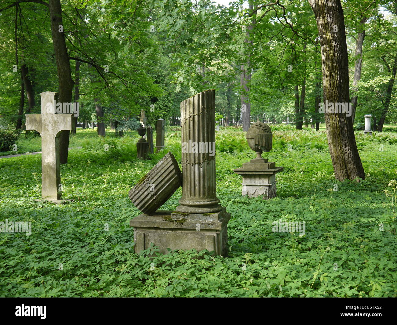 Old cemetery ruins with crosses in Latvia Stock Photo Alamy