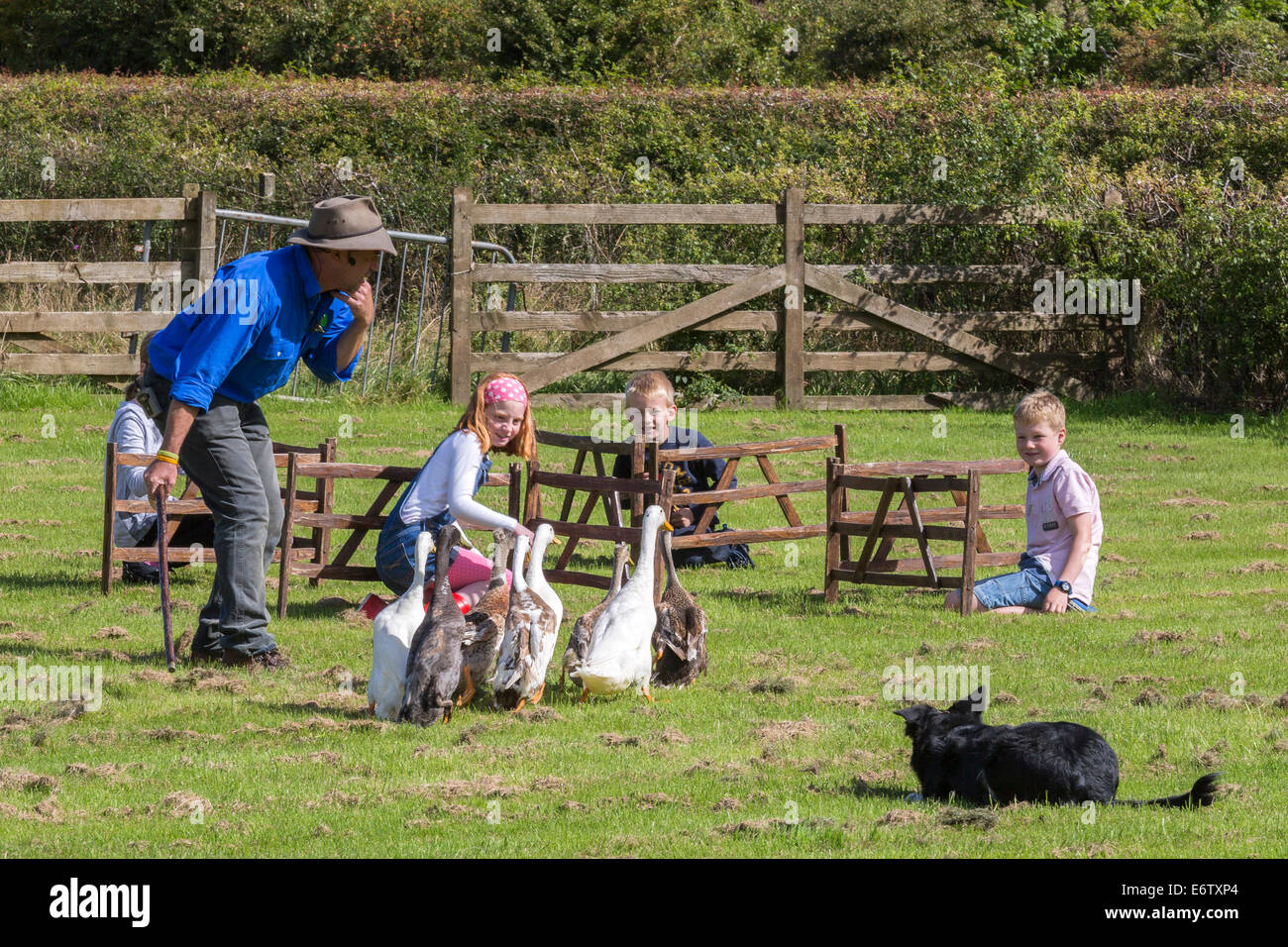 East Kilbride, Scotland, UK. 31st Aug, 2014. The Annual Country Fair