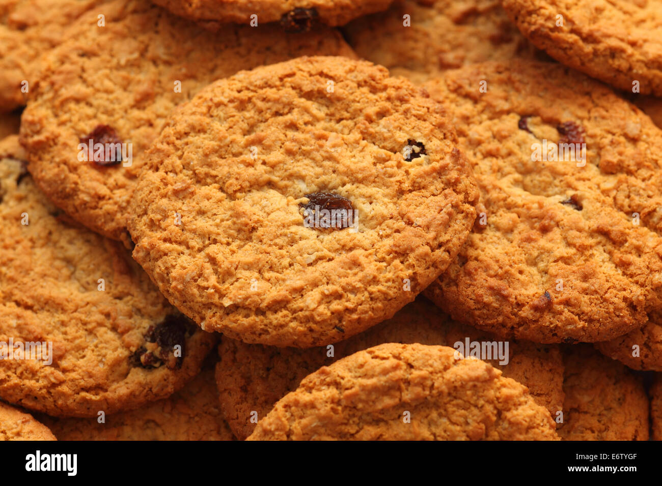 Oatmeal raisin cookies. Close-up. Stock Photo