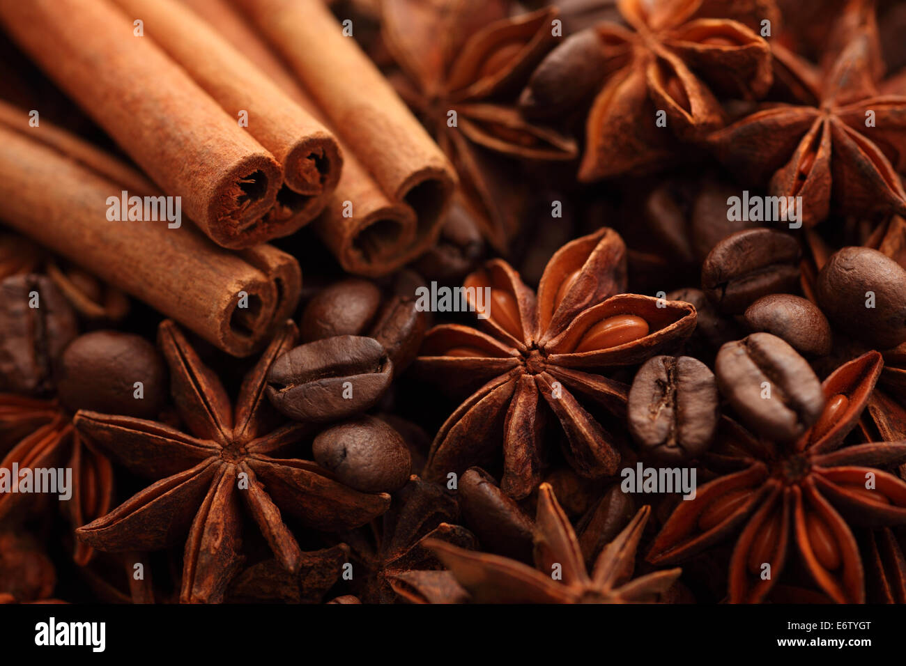 Cinnamon sticks, star anise and coffee beans. Close-up. Stock Photo
