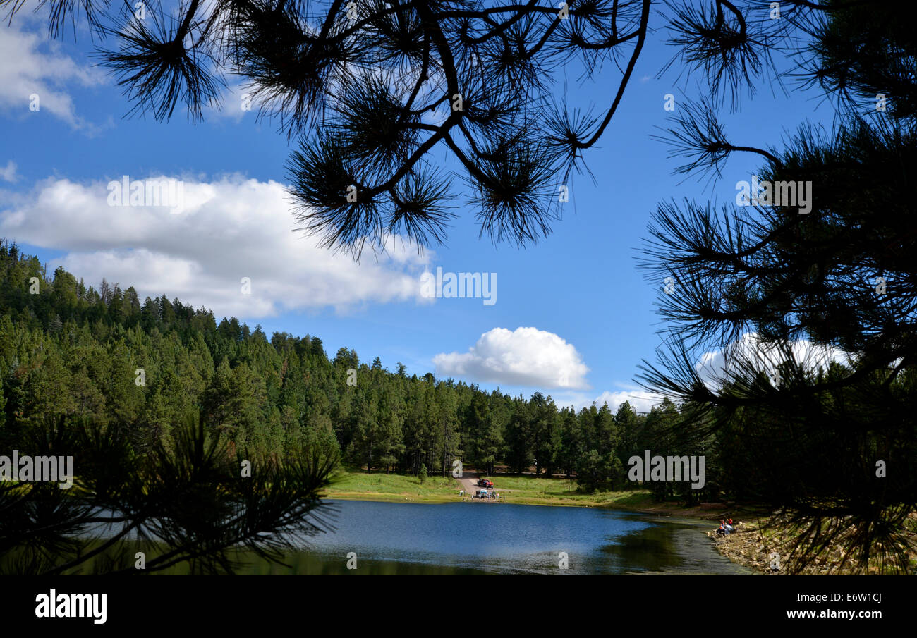 Fishing at Riggs Flat Lake at Mount Graham in the Pinaleño Mountains of