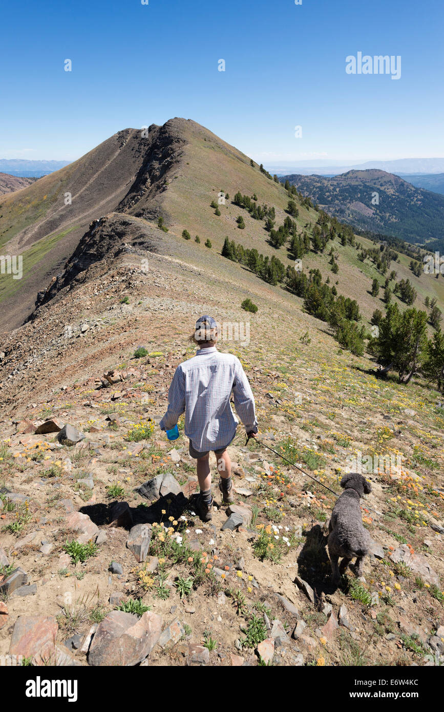 Woman hiking with a dog hi-res stock photography and images - Alamy