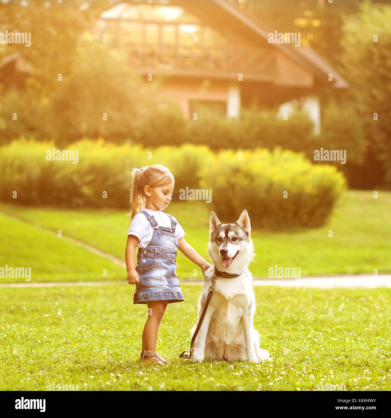 little girl in the park their home with a dog Husky Stock Photo - Alamy