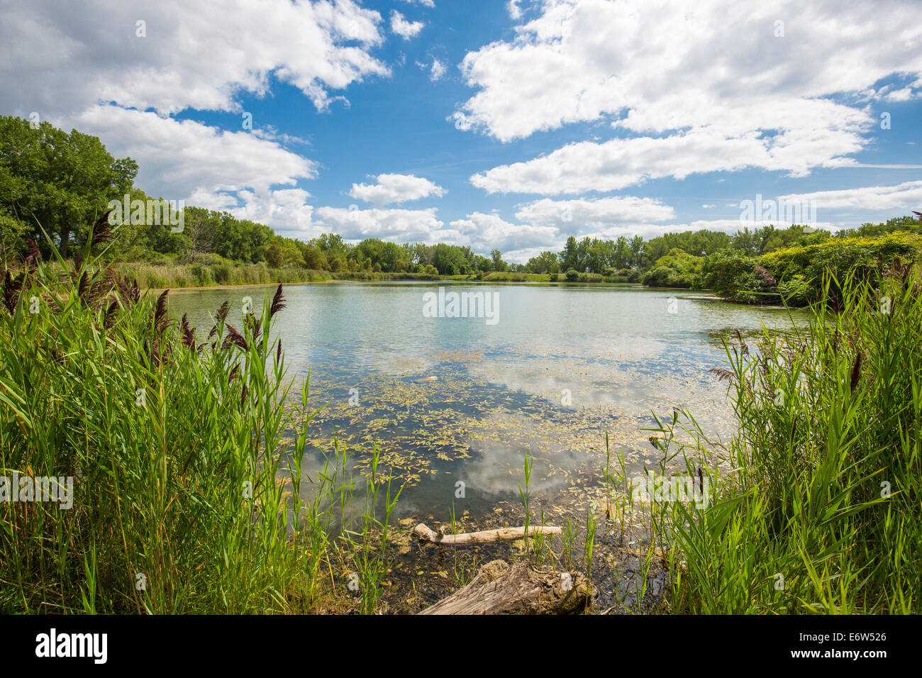 Pond in Tifft Nature Preserve in Buffalo New York Stock Photo