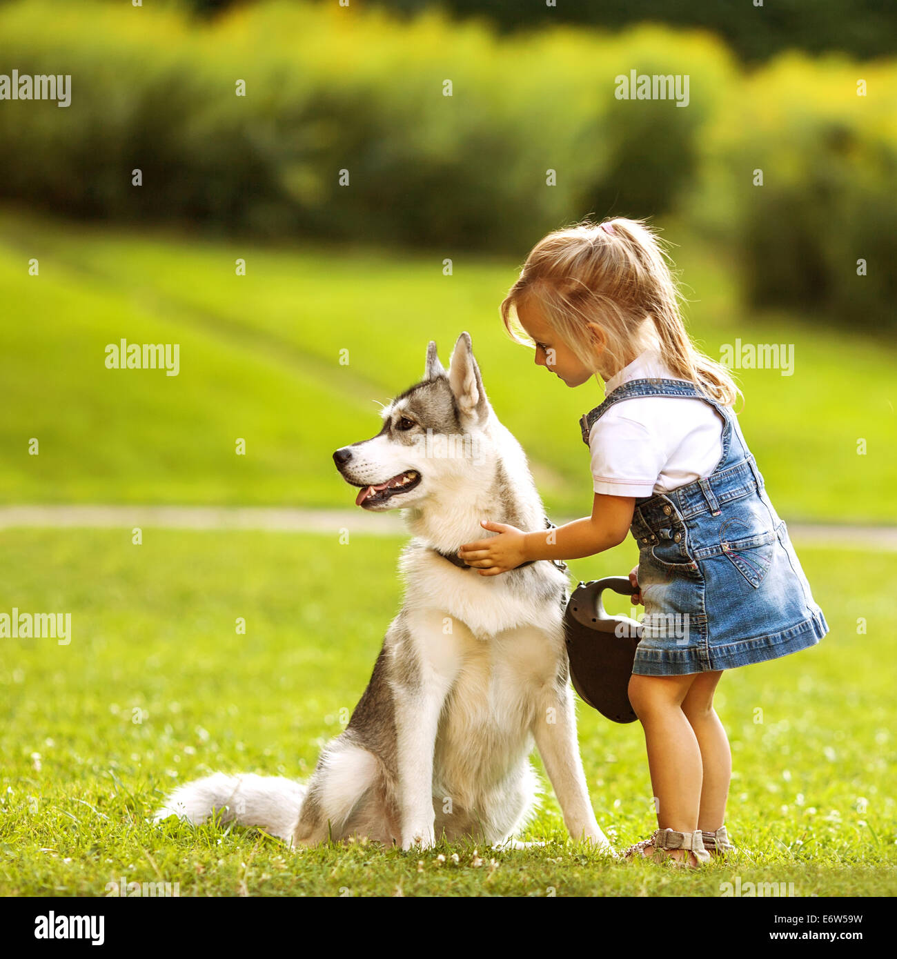 little girl in the park their home with a dog Husky Stock Photo - Alamy