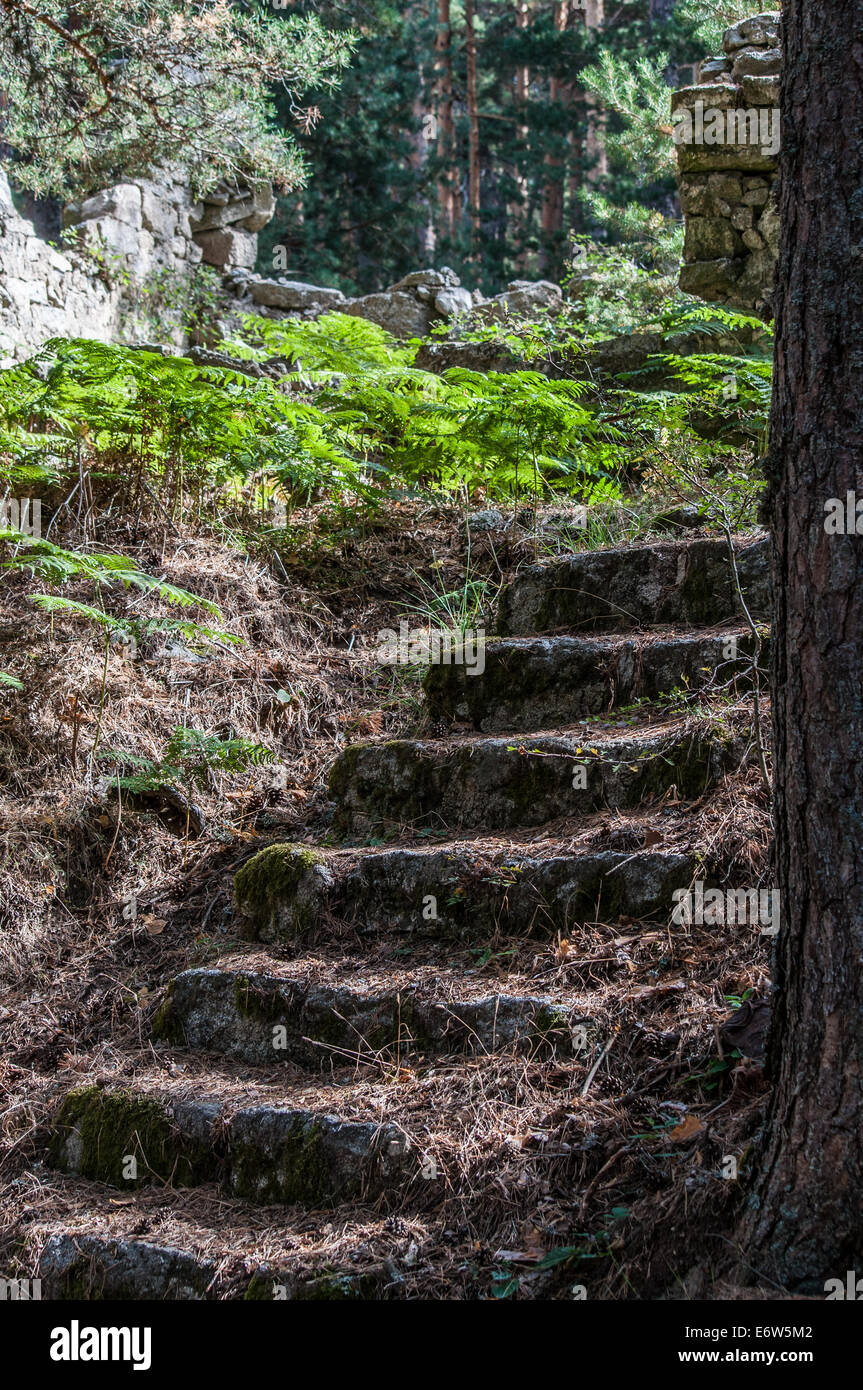 Steps in rock Stock Photo