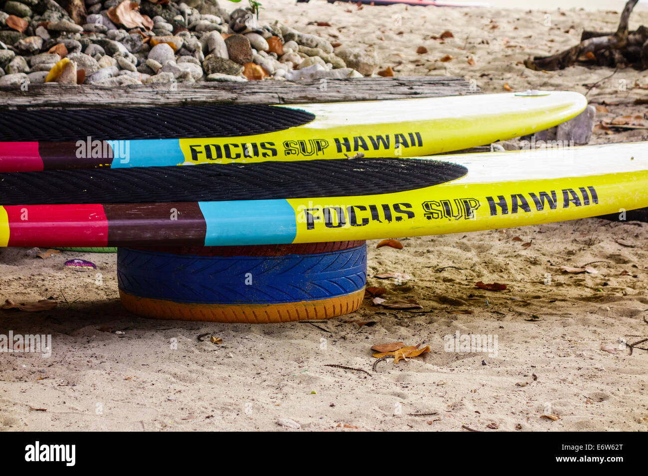 Two colorful stand-up paddle boards rest on painted tires on a tropical beach on St. Croix, U.S.Virgin Islands, west end. Stock Photo