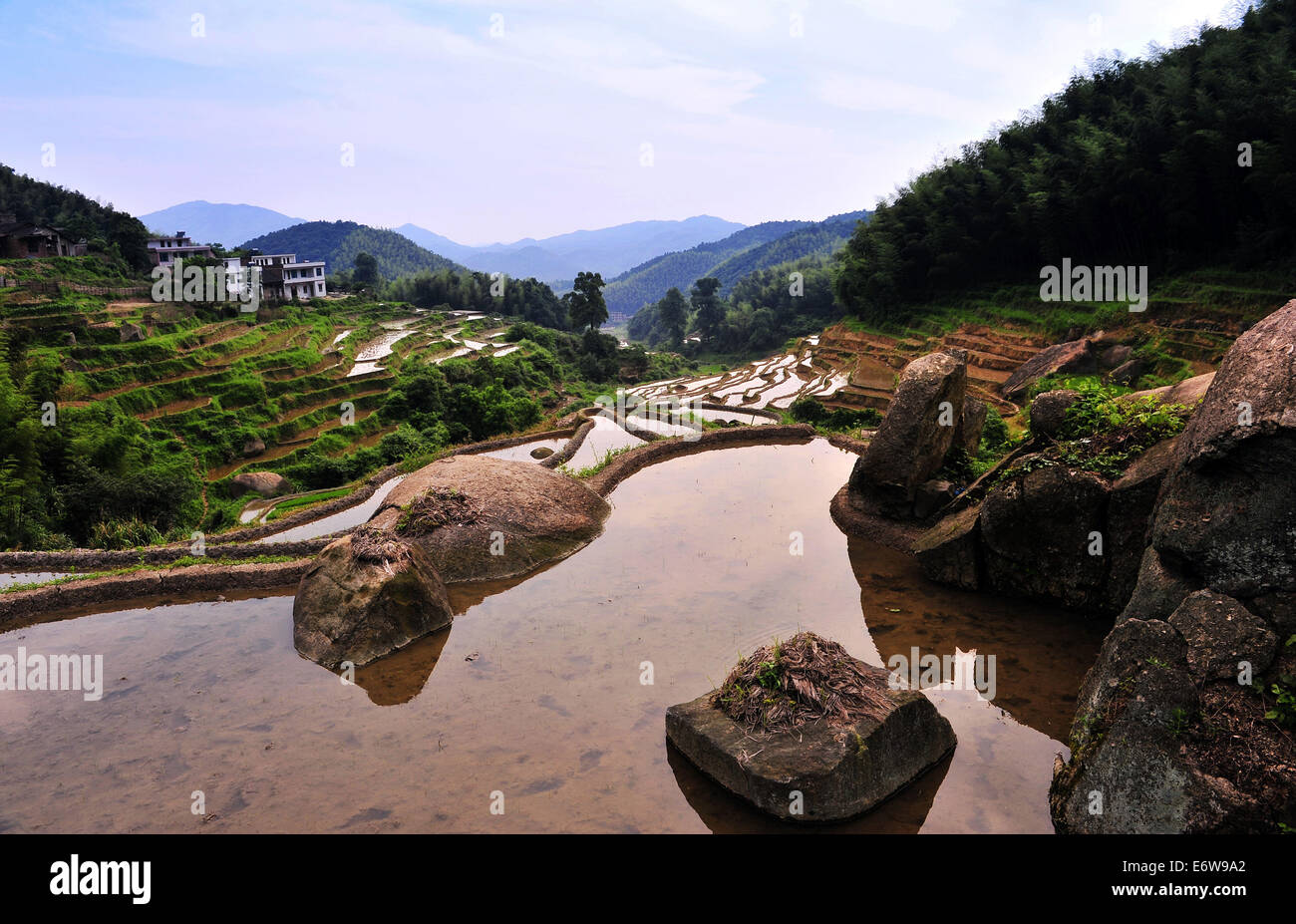 Hunan Farm Hunan, China. 23rd May, 2013. JUNE 30: Farmers plant paddy on a terrace ...