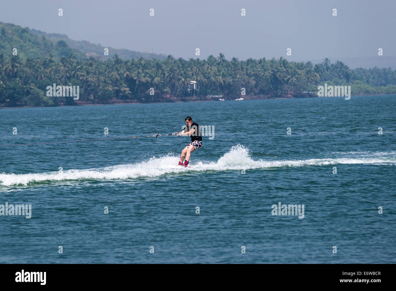 Water skiing in Morjim, Goa Stock Photo Alamy