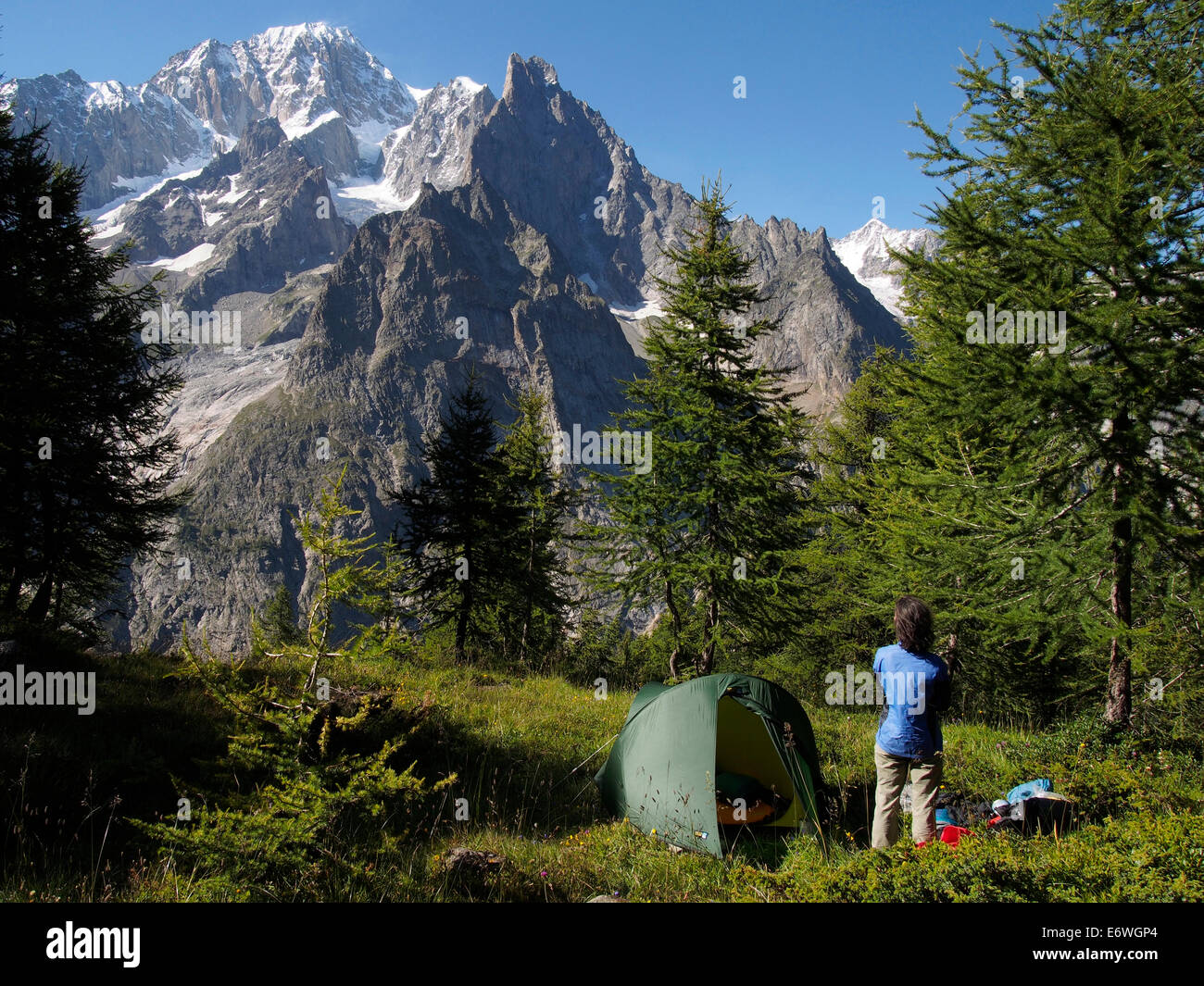 Wild Camping In Larch Woods Near Col Checrouit Italy With Mont Blanc Behind Stock Photo Alamy