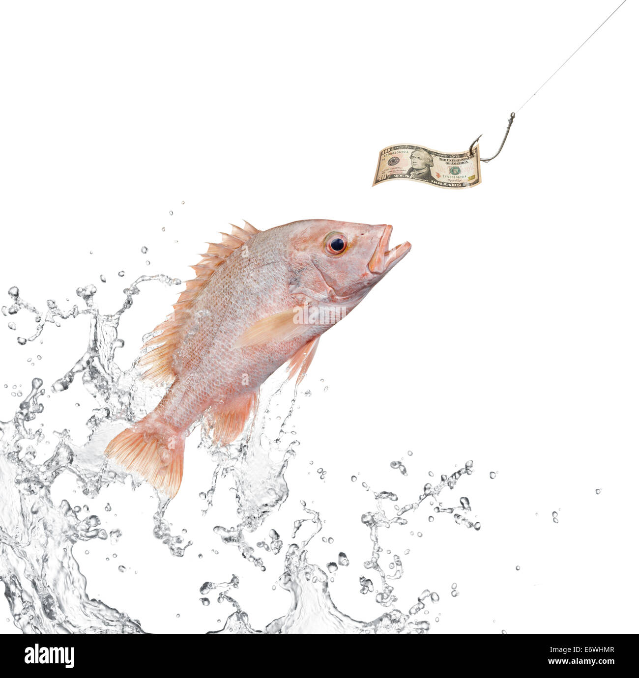 fish jumping out from water hunting for money Stock Photo