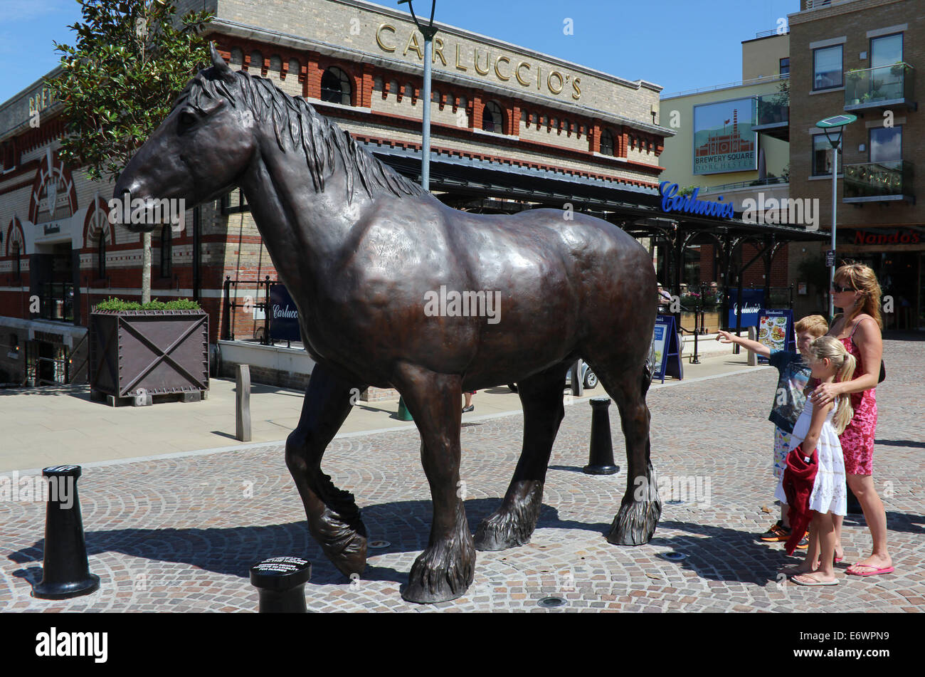 England Dorset Dorchester This handsome statue of a Dray Horse by 81year old sculptor Shirley Pace is  in Dray Horse Yard Stock Photo