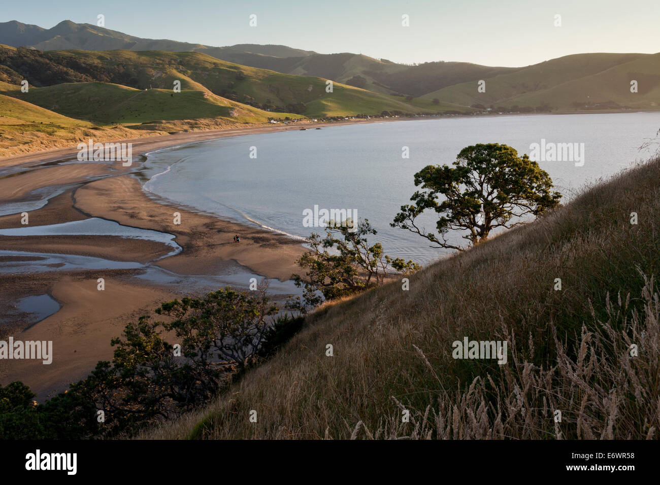 View across the bay at Port Jackson, Coromandel Peninsula, North Island