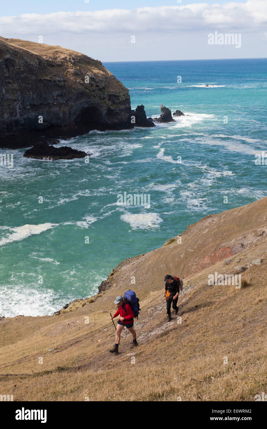 Hikers on a coastal walk, Banks Track Walk, Banks Peninsula, Canterbury, South Island, New Zealand Stock Photo