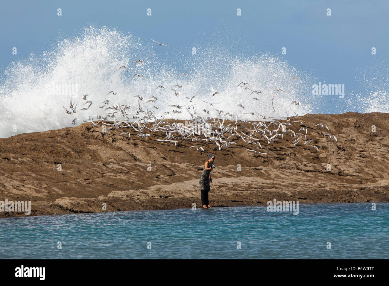 Woman fishing at Castle Point, seabirds, Castle Point, North Island, New Zealand Stock Photo