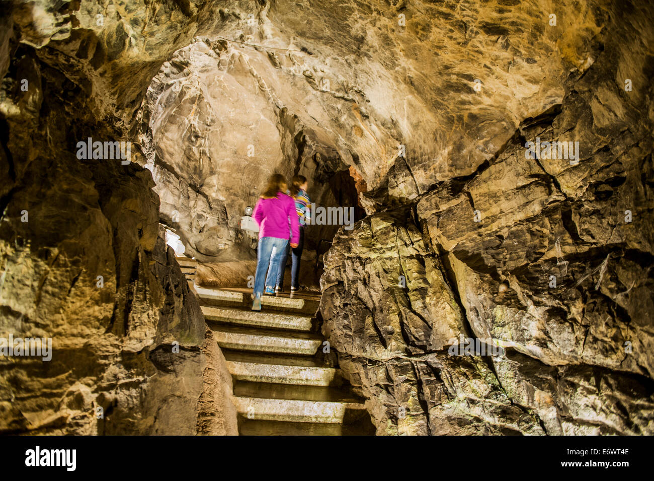 Dan-yr-Ogof cave at The National Showcaves Centre for Wales, Abercrave, Swansea. Stock Photo