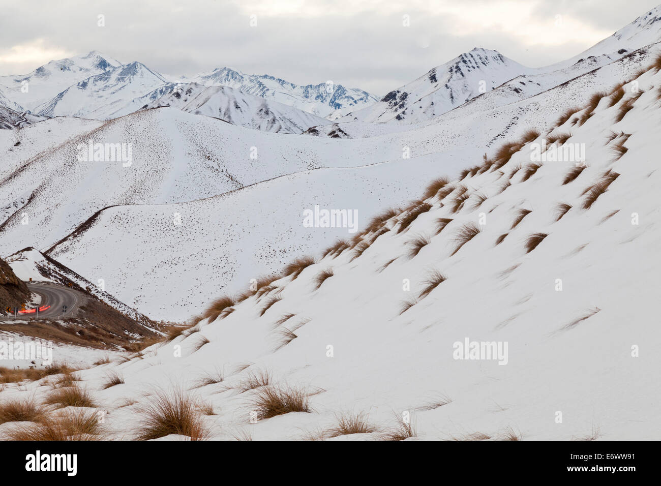 Tussock grass in snow, mountain scenery, Lindis Pass, Otago, South Island, New Zealand Stock Photo