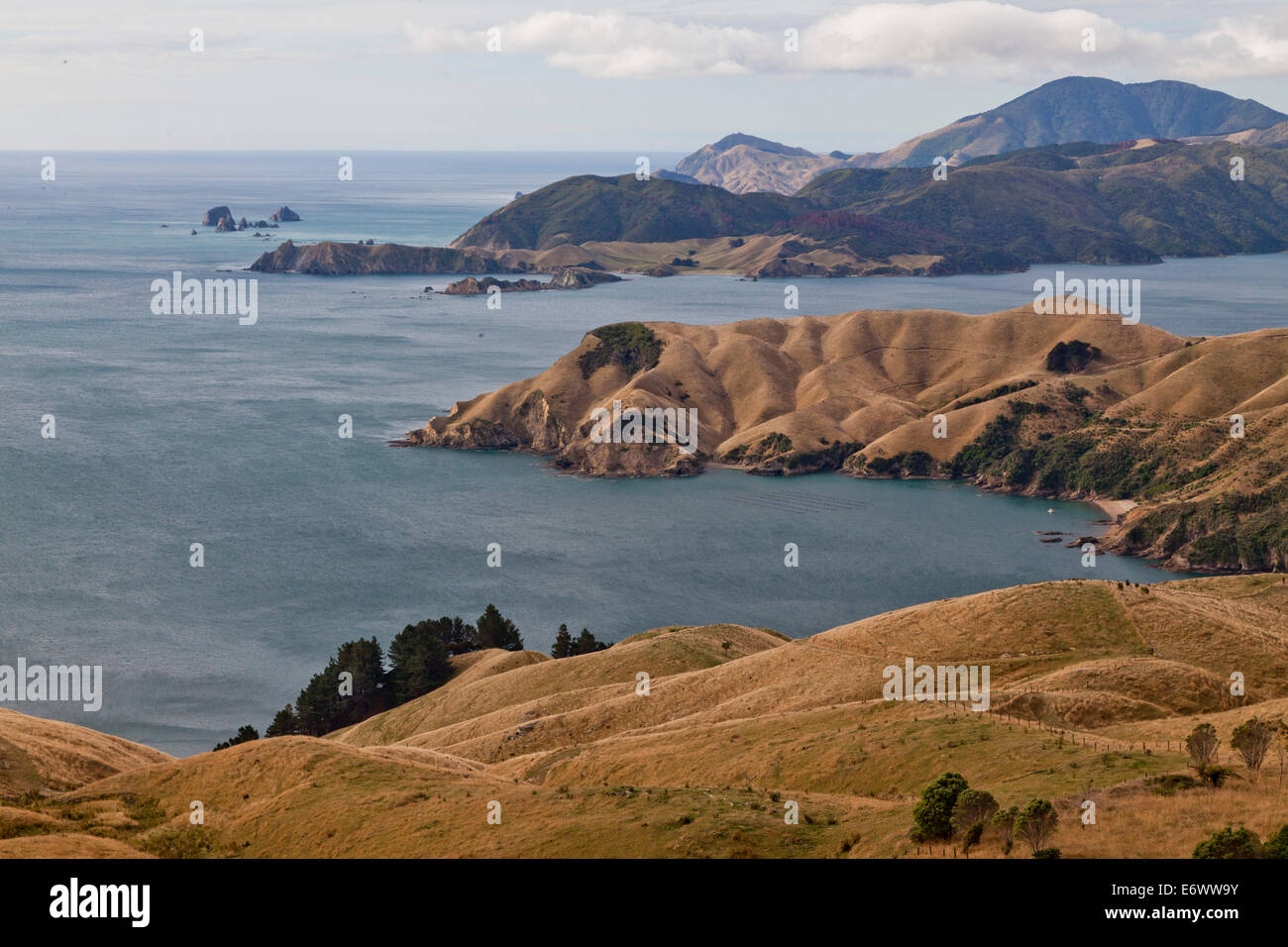 View of peninsulas at the French Pass, Marlborough Sounds, South Island, New Zealand Stock Photo