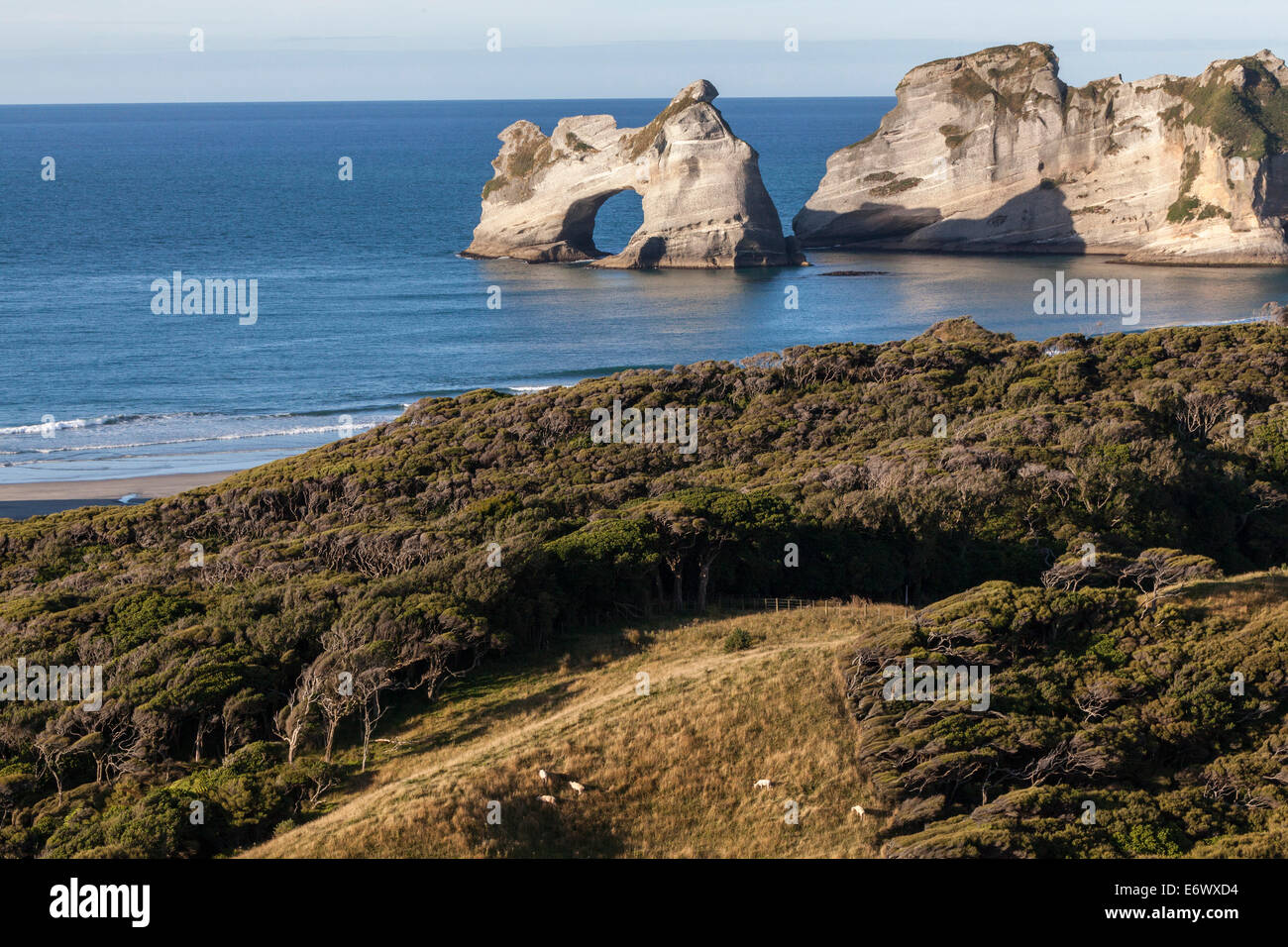Archway islands along the coast near Wharariki Beach, manuka and kanuka trees, Puponga Farm Track, South Island, New Zealand Stock Photo