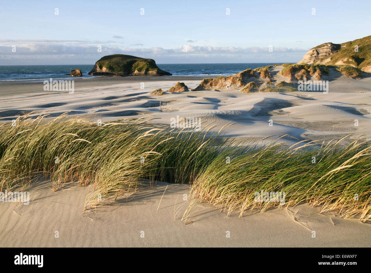 Wave-like sand dunes at Wharariki Beach, South Island, New Zealand Stock Photo