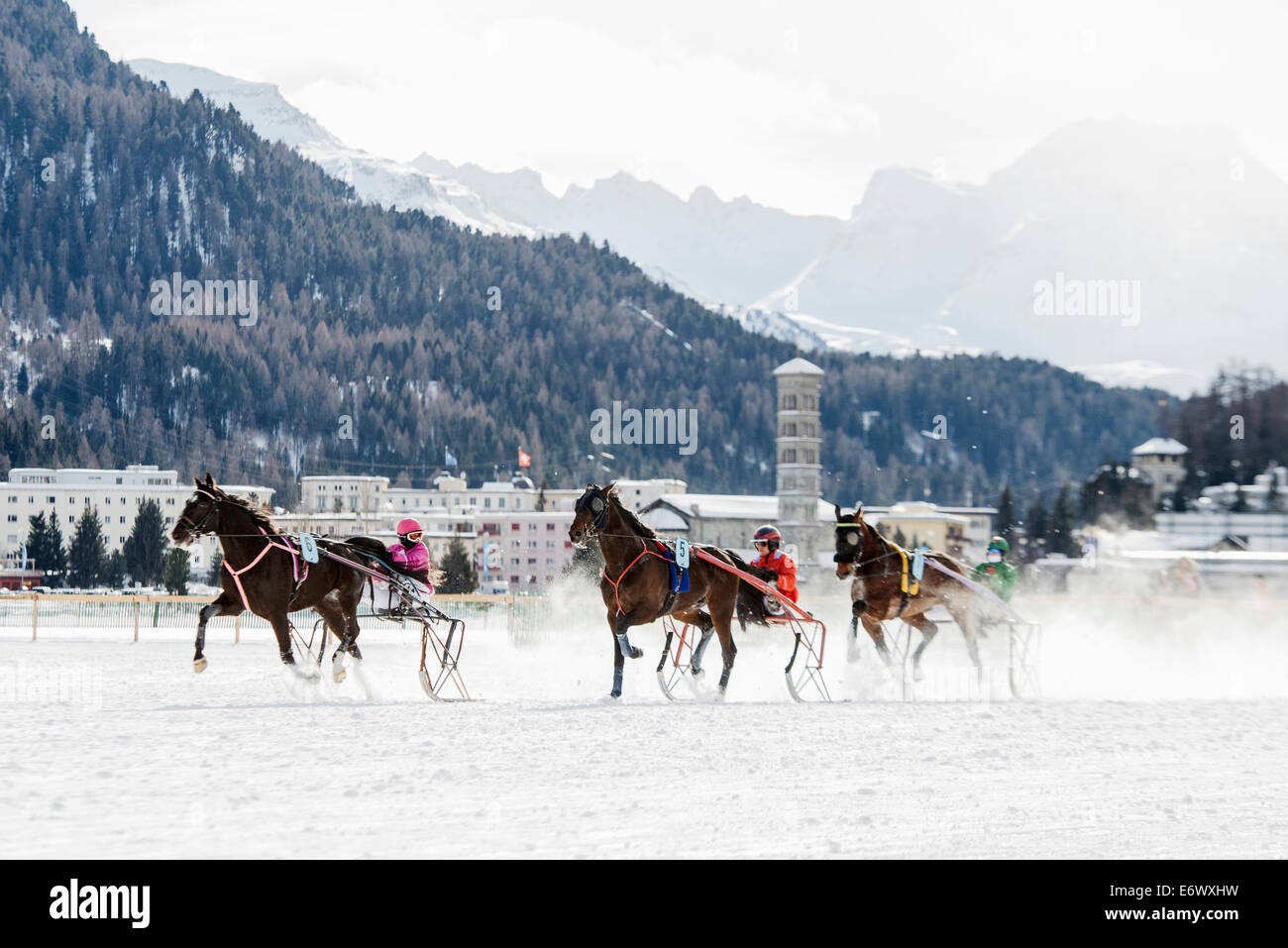 White Turf Horse Race 2013, St. Moritz, Engadine valley, Upper Engadin, Canton of Graubuenden, Switzerland Stock Photo