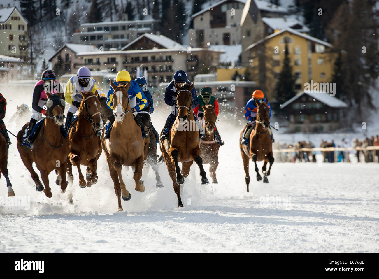 White Turf Horse Race 2013, St. Moritz, Engadine valley, Upper Engadin, Canton of Graubuenden, Switzerland Stock Photo