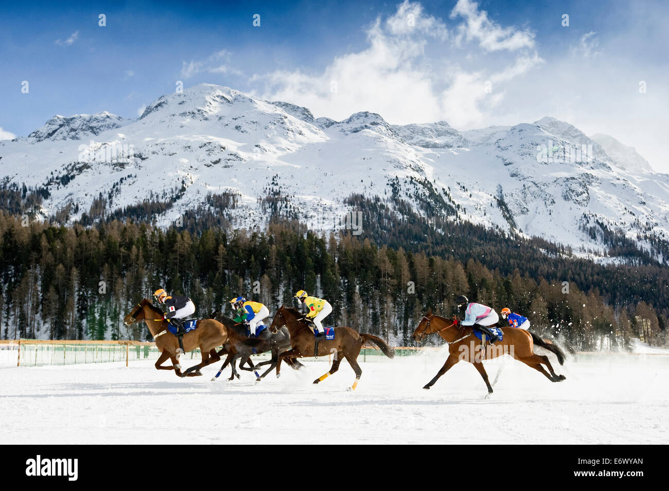 White Turf Horse Race 2013, St. Moritz, Engadine valley, canton of Graubuenden, Switzerland Stock Photo