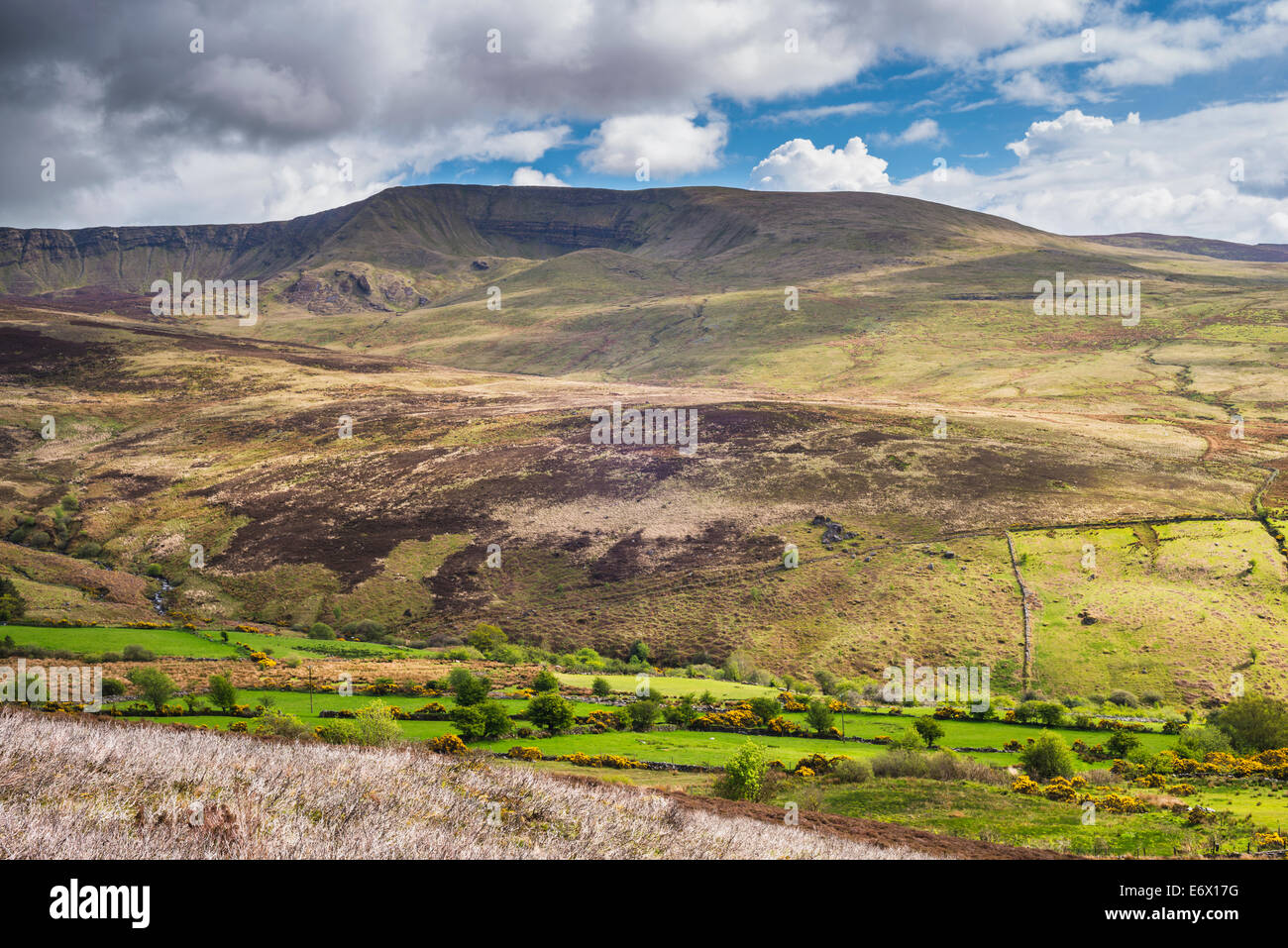 The Nire Valley, Comeragh Mountains, County Waterford, Ireland Stock Photo