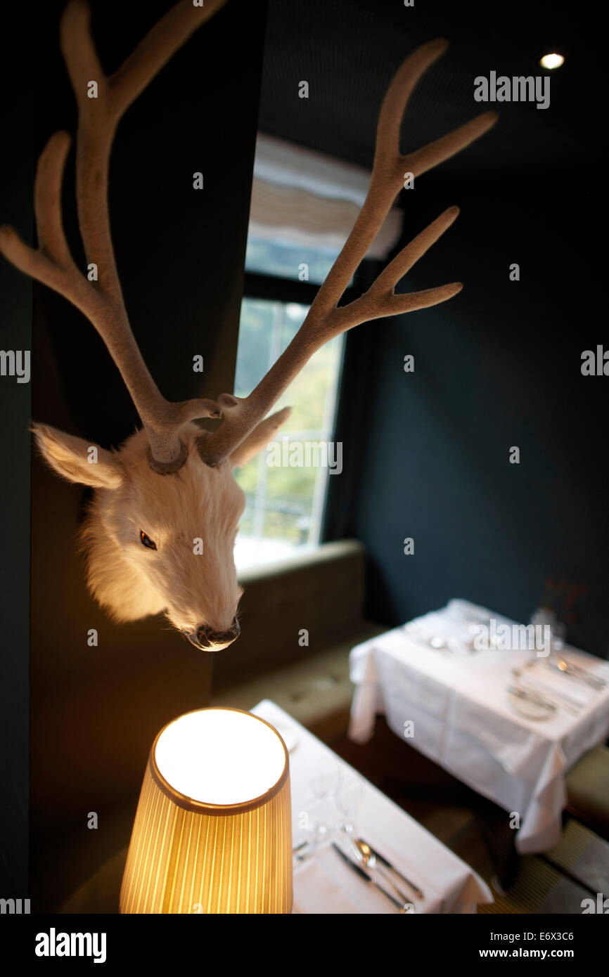 Deer antler on the wall of the dining room, Hotel Haus Hirt, Bad Gastein, St. Johann im Pongau, Salzburg, Austria Stock Photo
