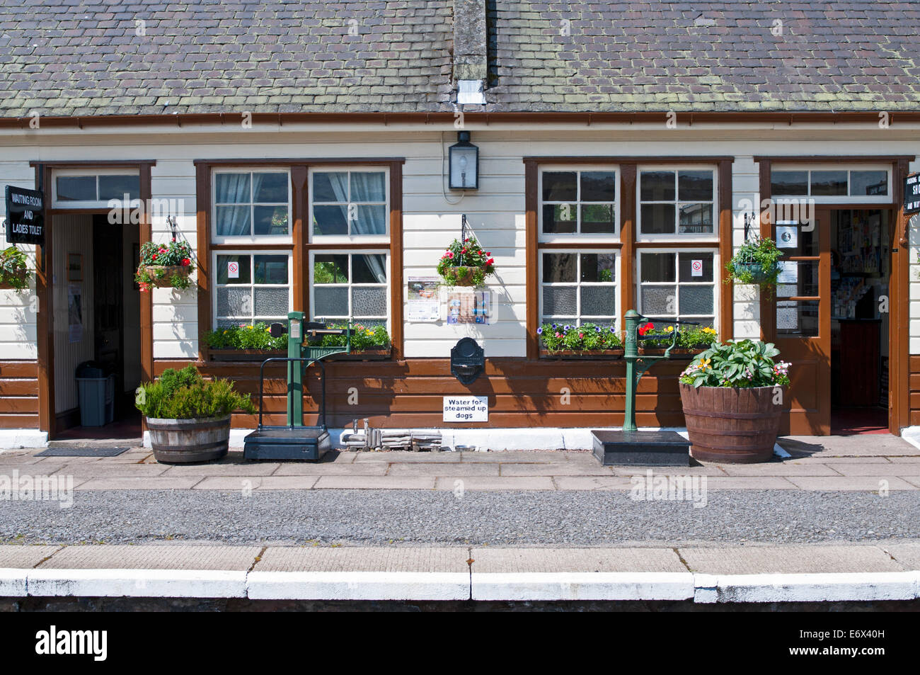 Amusing sign 'Water for steamed up dogs' at Boat of Garten station, Strathspey Steam Railway, near Aviemore, Cairngorms Scotland Stock Photo