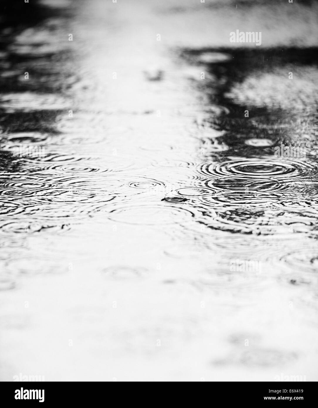 Close up of water puddle with rain drops falling Stock Photo