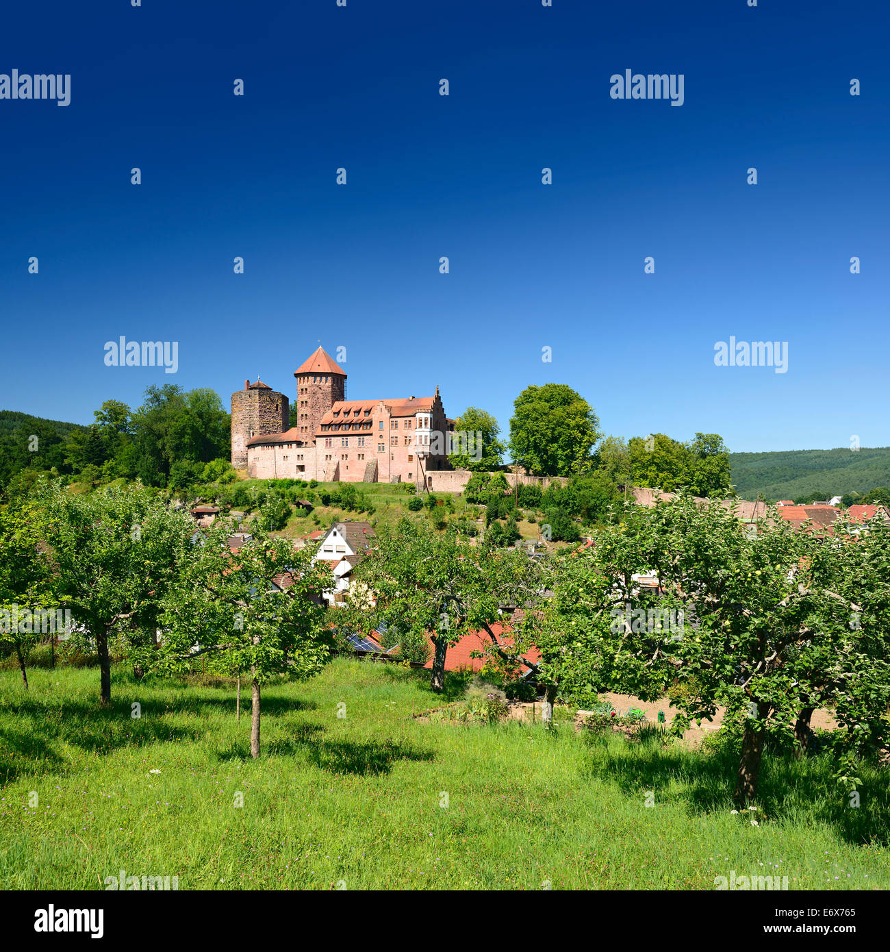 Orchard vis-à-vis Burg Rieneck Castle in Sinntal Valley, Lower Franconia, Bavaria, Germany Stock Photo