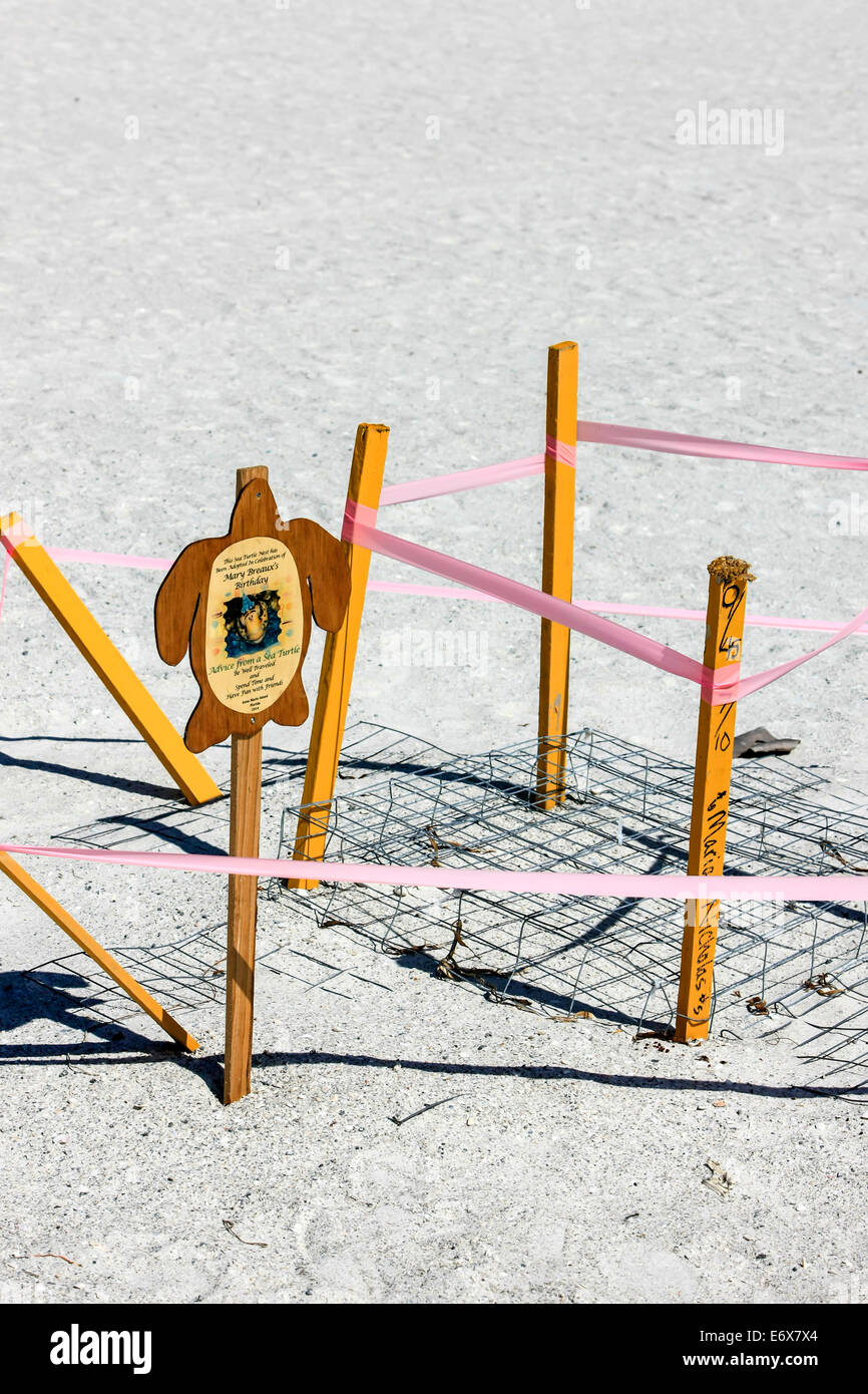 Roped off Turtle nest on Anna Maria Island FL Stock Photo - Alamy