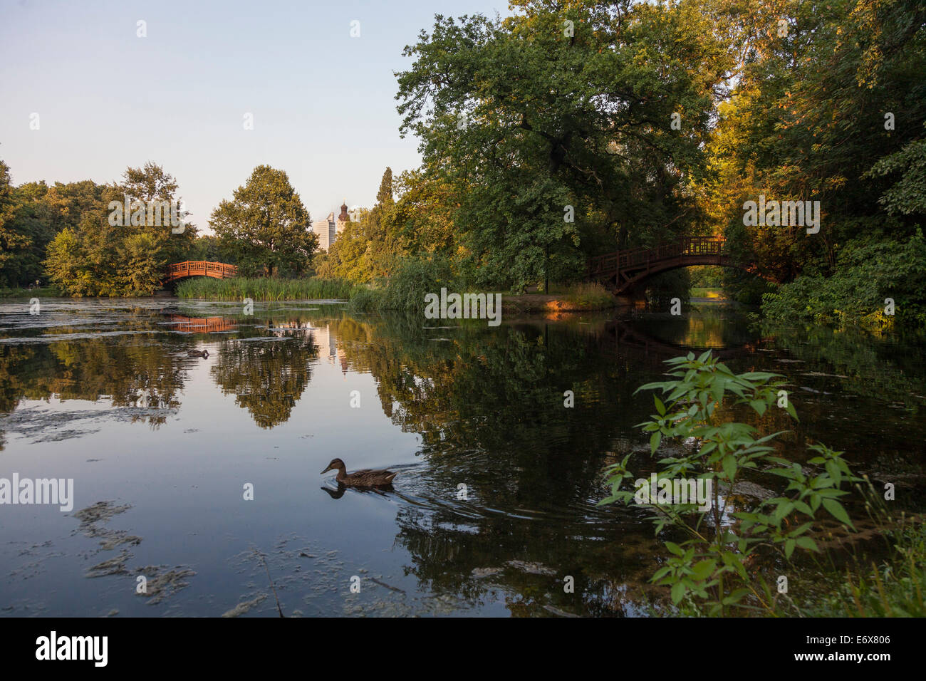 Pond in park Johannapark, Leipzig, Saxony, Germany Stock Photo