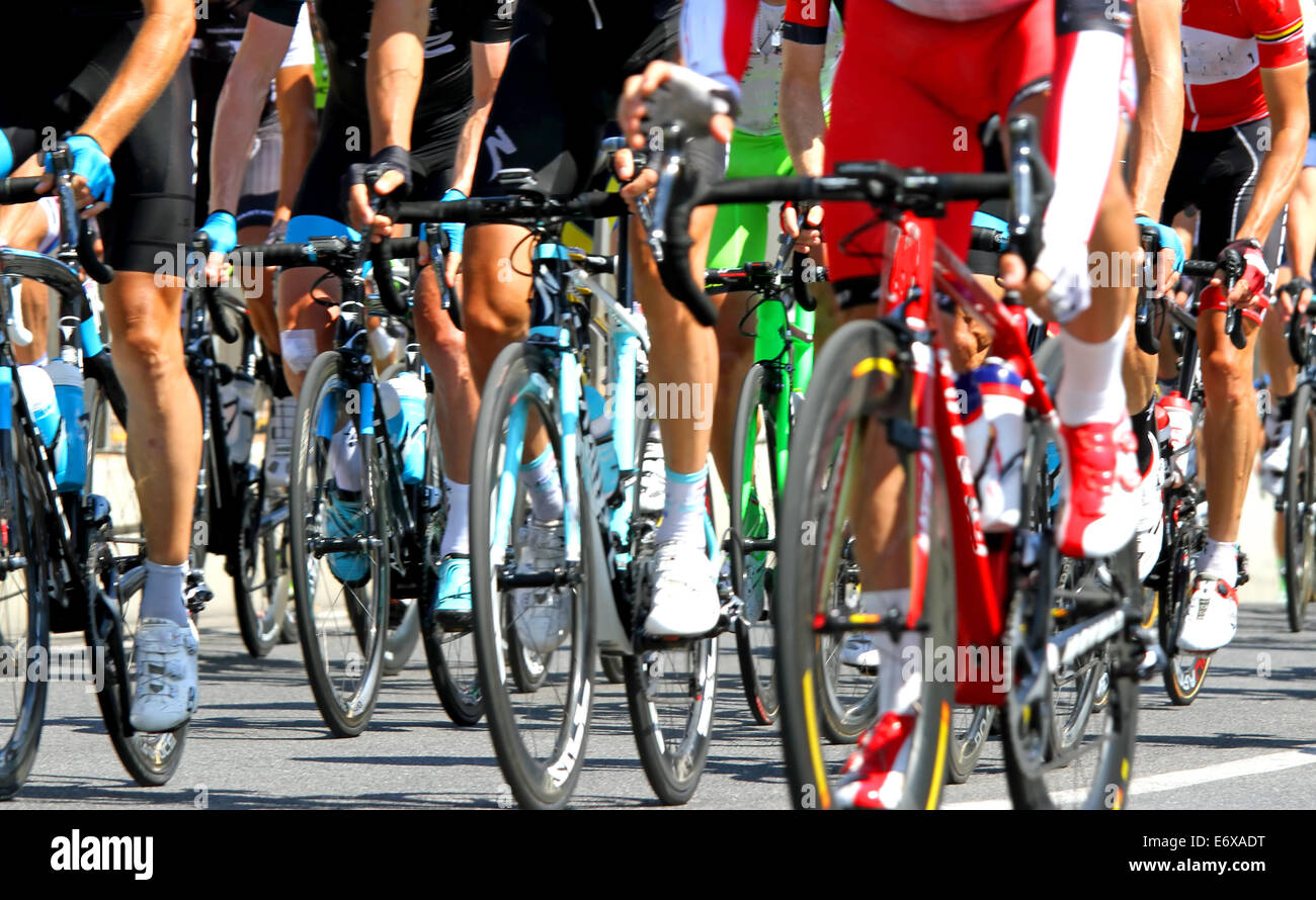 Athletic cyclists during a cycle road race in Europe Stock Photo Alamy