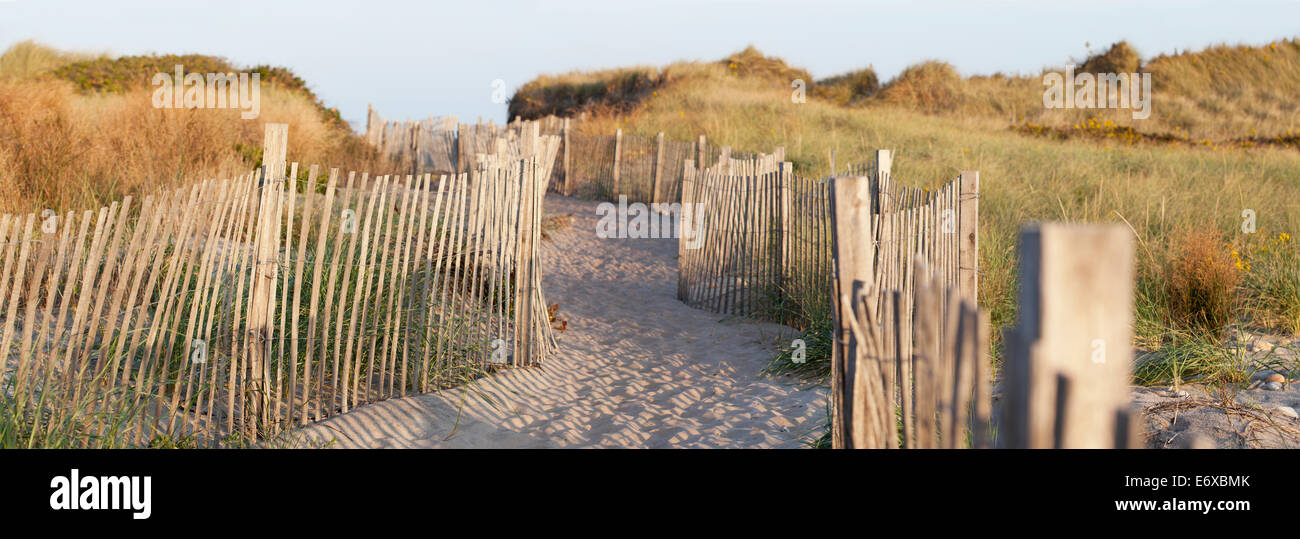 Sand fence at Fred Benson Town Beach, Block Island, Rhode Island, USA Stock Photo