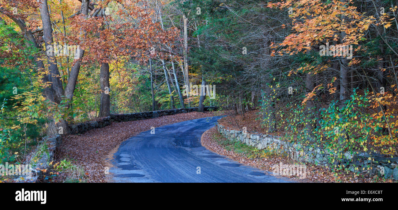 Farm road in fall, Broadmoor Wildlife Sanctuary, Natick, Massachusetts