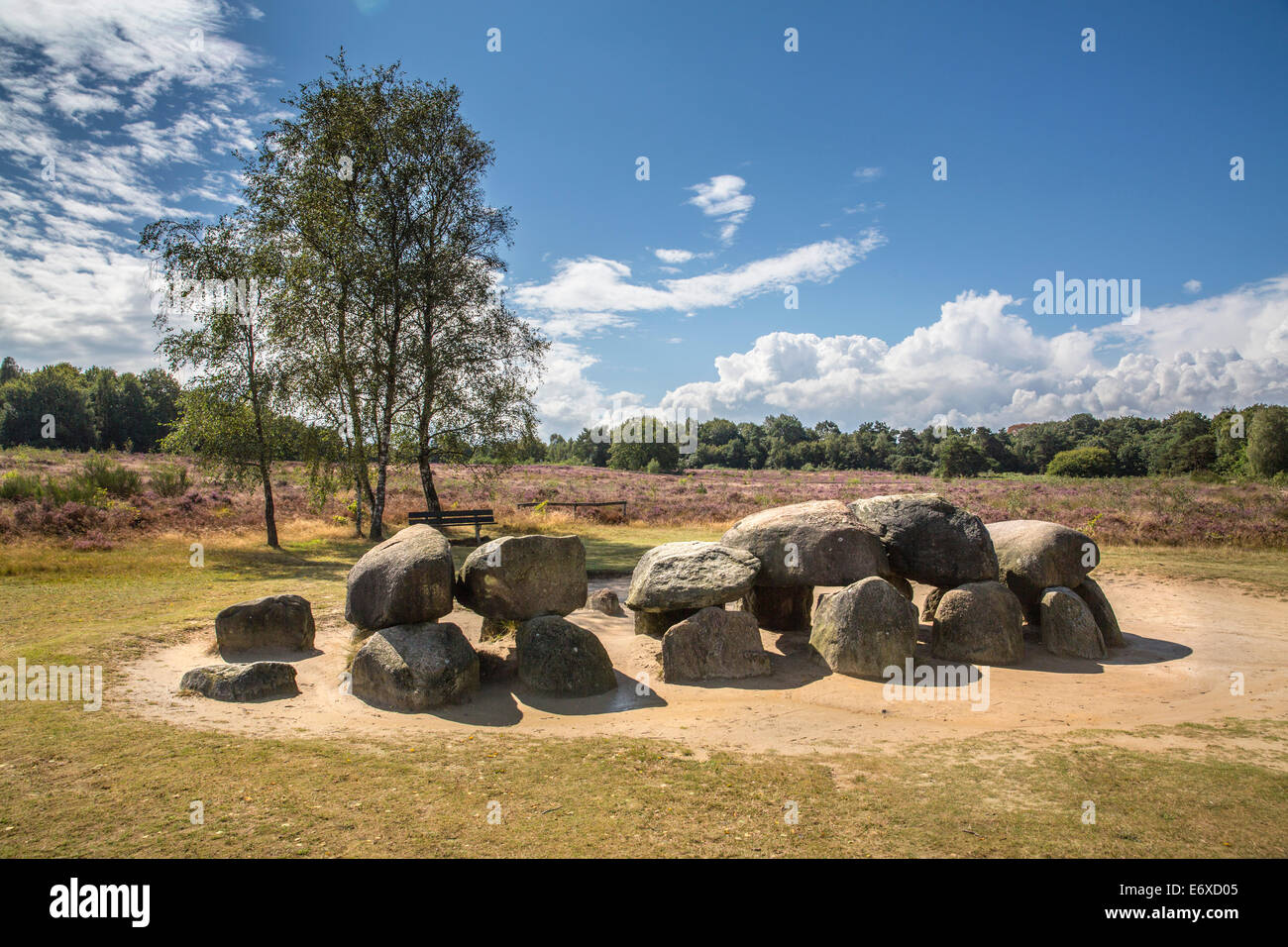 Netherlands, Havelte, Heathland called Holtingerveld Heide. Megalithic tomb called Hunebed. Number Havelterberg 54 Stock Photo