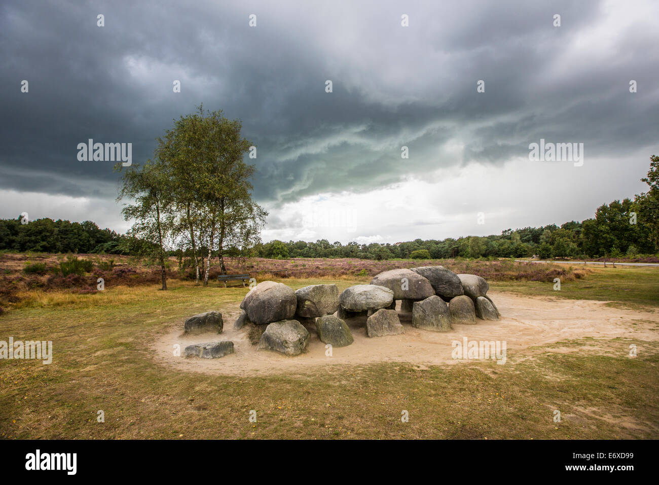 Netherlands, Havelte, Heathland called Holtingerveld Heide. Megalithic tomb Hunebed. Number Havelterberg 54 Stock Photo