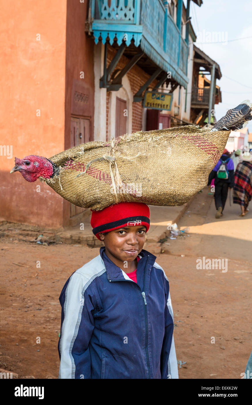 Madagascan boy carrying a turkey on his head, Betsileo tribe, Ambalavao, Fianarantsoa Region, Madagascar, Africa Stock Photo