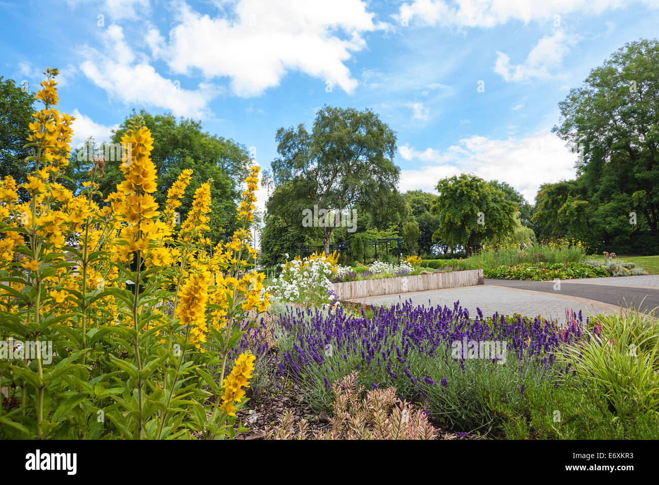 Blooming colorful flowerbeds in summer park of Airdrie, North Lanarkshire Stock Photo