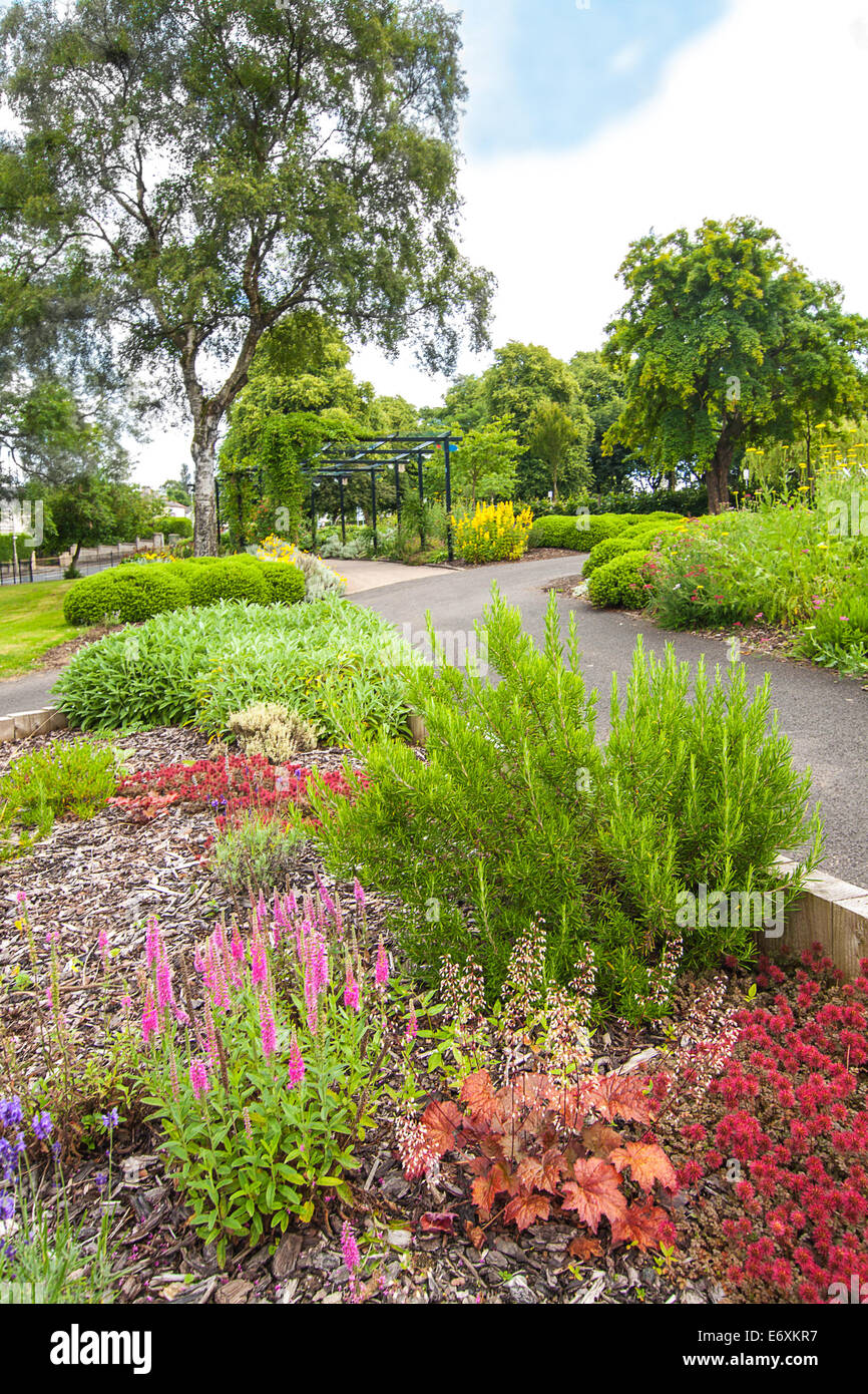 Blooming colorful flowerbeds in summer park of Airdrie, North Lanarkshire Stock Photo