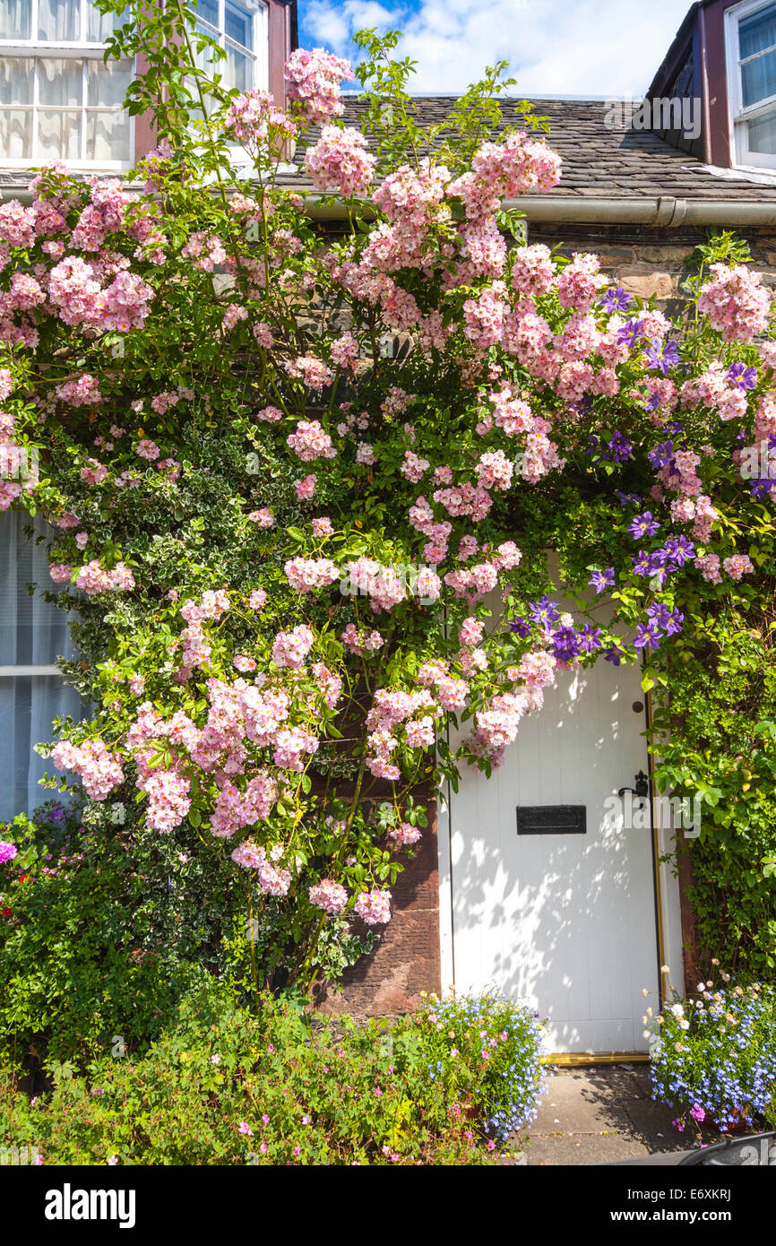 Stone cottage with window and climbing roses Stock Photo