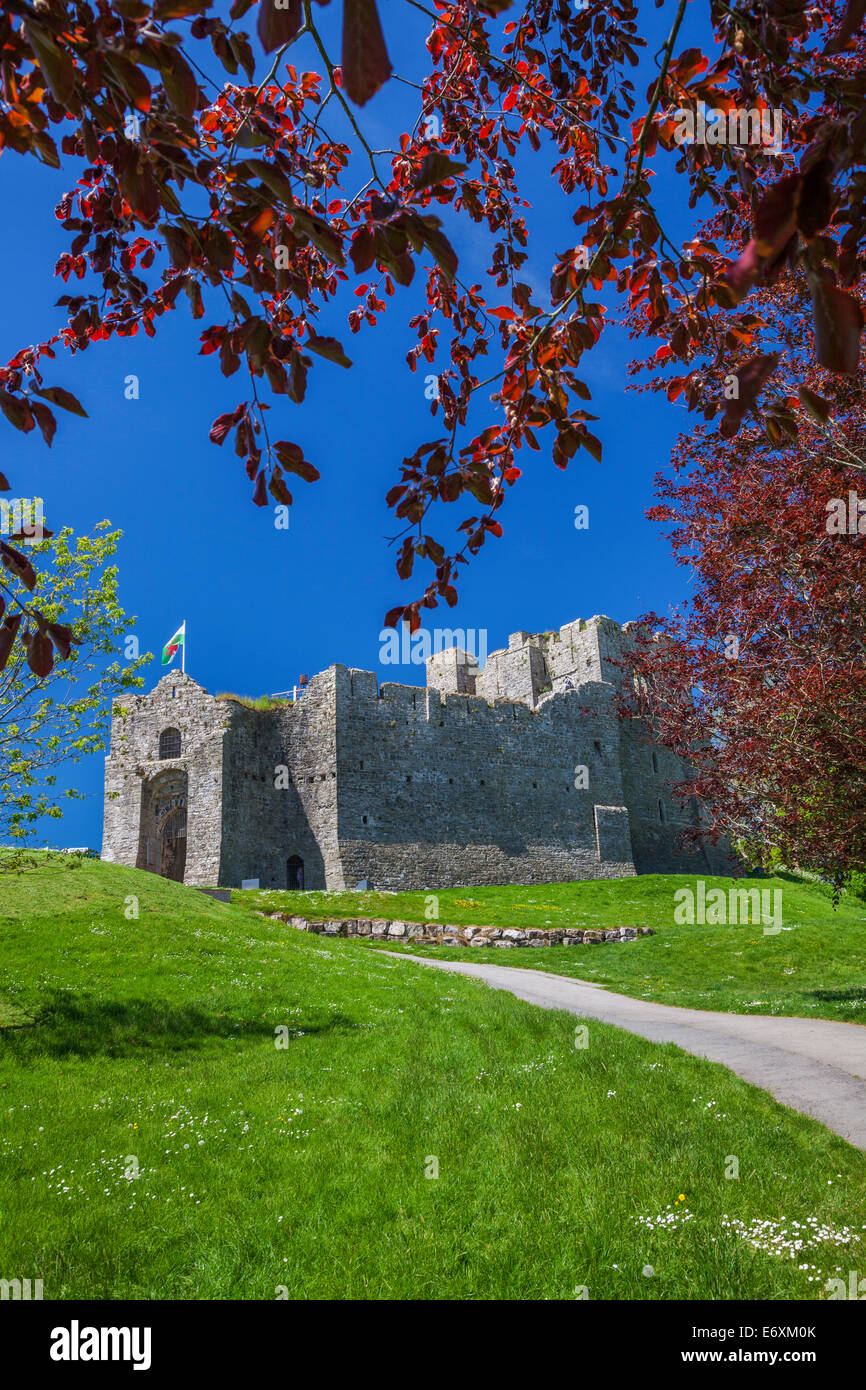 Oystermouth Castle, Mumbles, Swansea, Gower, Wales, UK Stock Photo