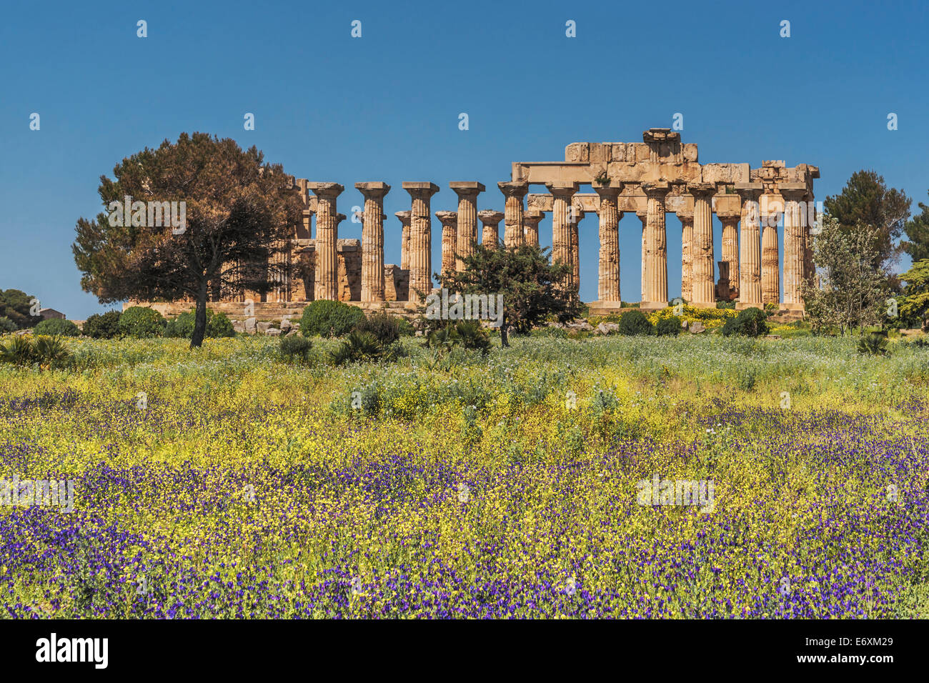 Temple of Hera was built about 470 to 450 BC. The Temple belongs to the archaeological sites of Selinunte, Sicily, Italy, Europe Stock Photo